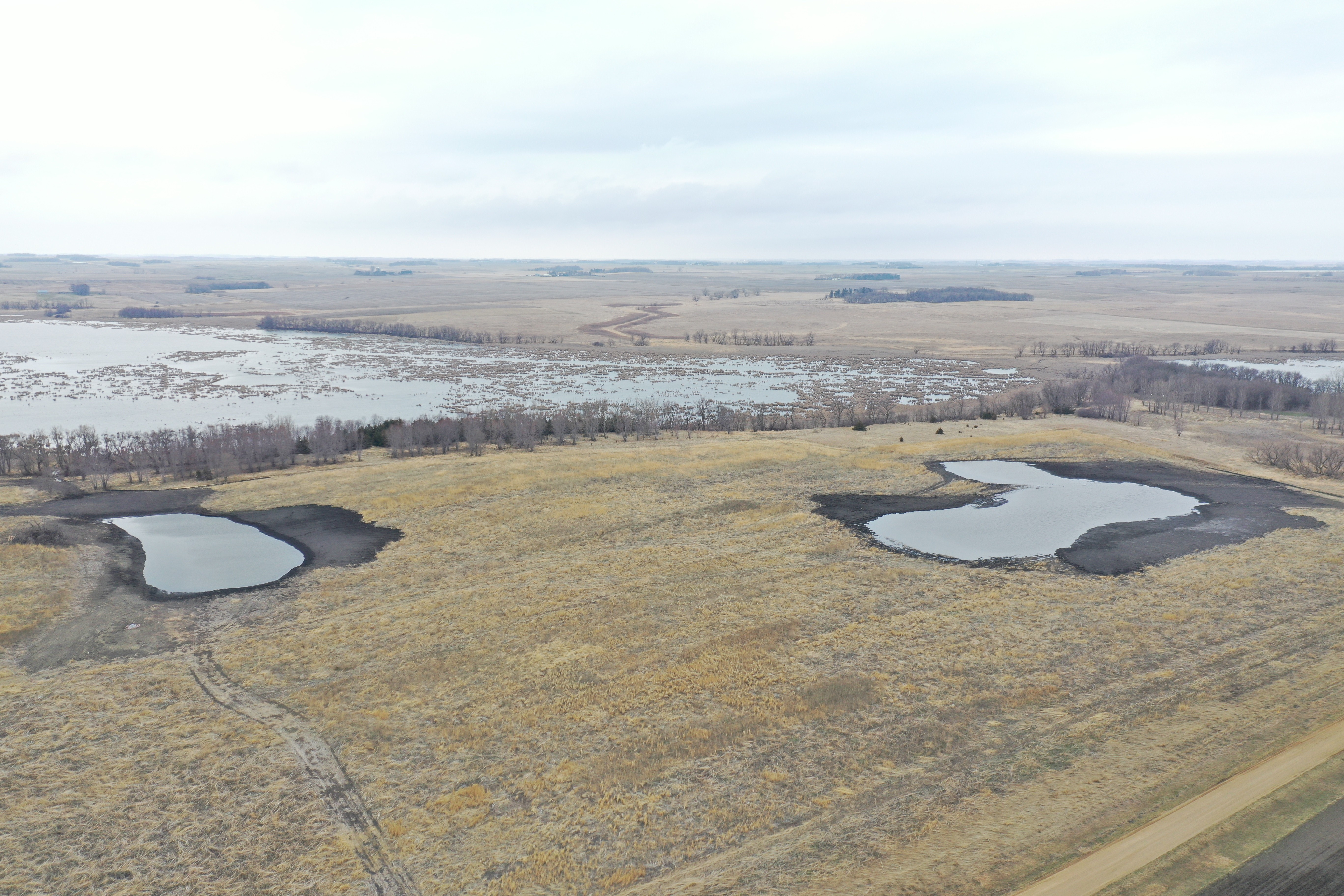 Aerial view of wetland restoration at Lake Maria WMA.